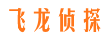 广陵侦探